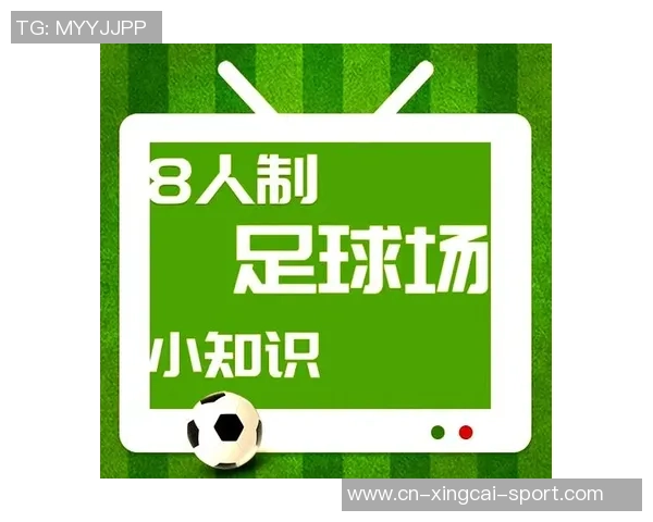 足球场的面积有多大了解足球场的标准尺寸与公顷换算知识