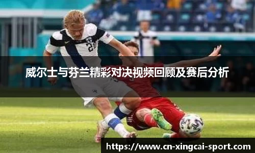威尔士与芬兰精彩对决视频回顾及赛后分析