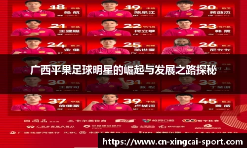 广西平果足球明星的崛起与发展之路探秘