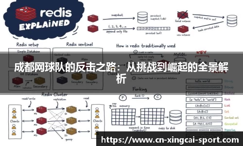 成都网球队的反击之路：从挑战到崛起的全景解析